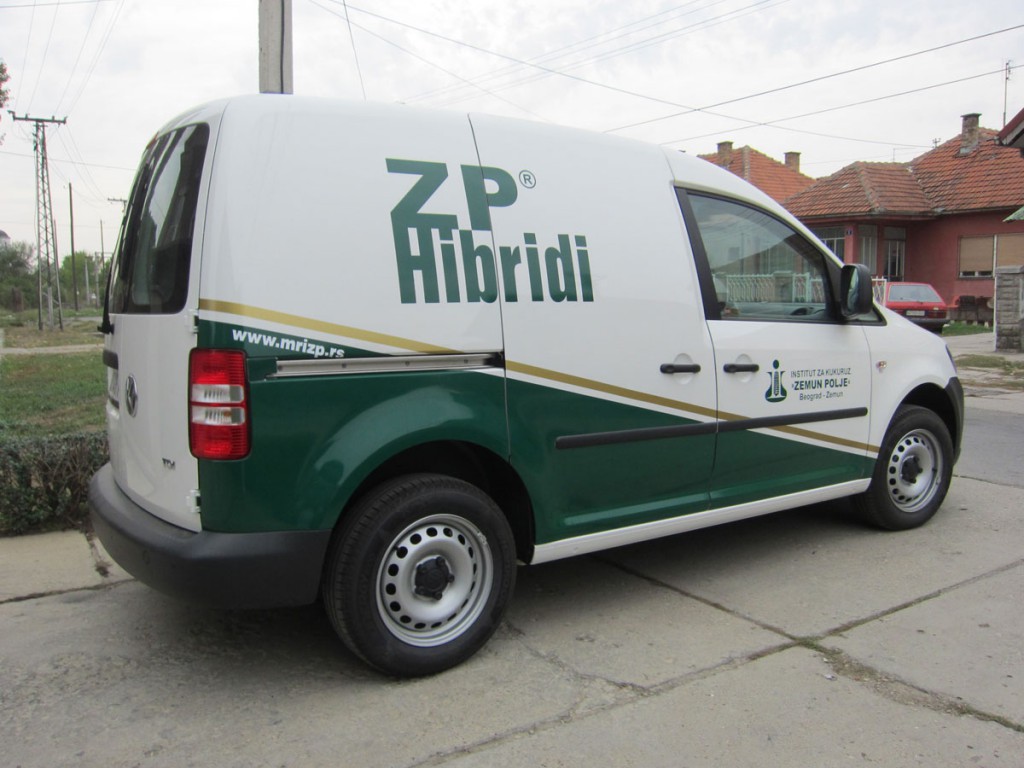 ZP-Hibridi-Caddy-1024x768